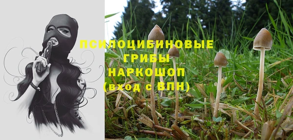 шишки Козельск