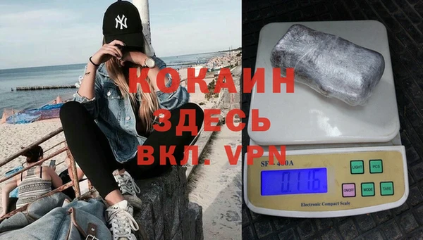 шишки Козельск