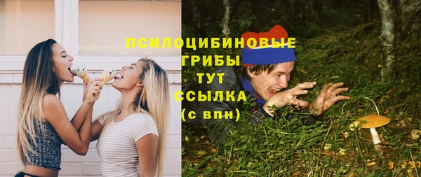 ешки Козловка