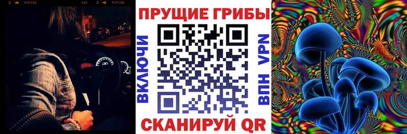 Псилоцибиновые грибы ЛСД  Купить где  Новодвинск 